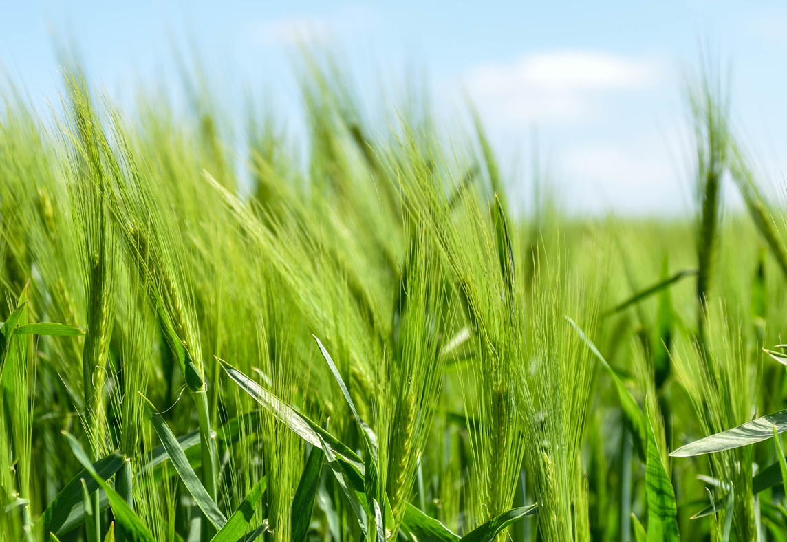 1528966306469746.jpg 111.jpg